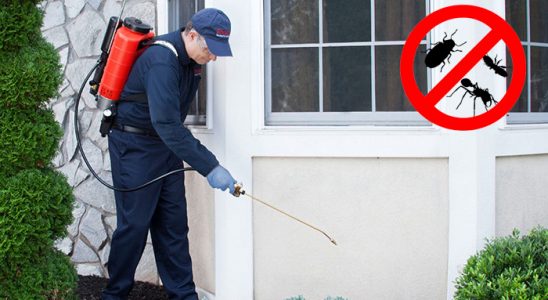 Göle Böcek İlaçlama böcek ilaçlama ve haşere kontrolü — ilaclama-tr.com